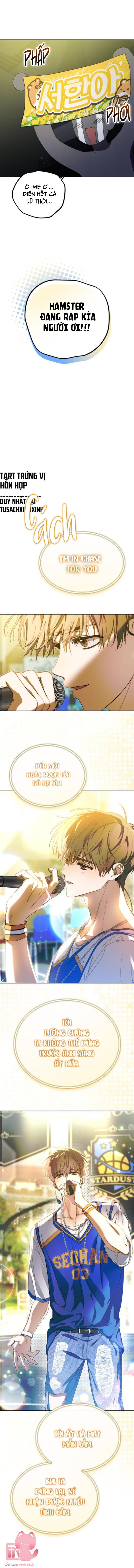 STARDUST PROJECT - Chap 17