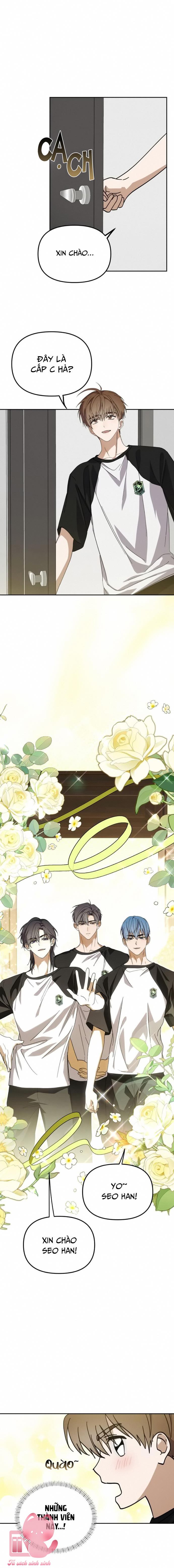 STARDUST PROJECT - Chap 31