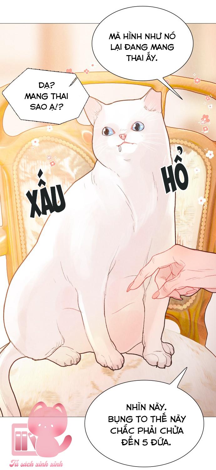 Thần Bí - Chap 56