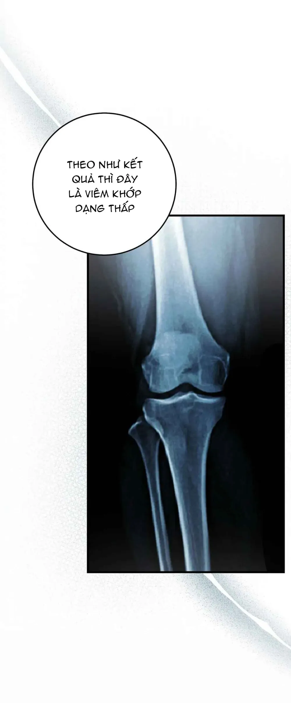 Thợ Săn Muốn Sống Yên Bình - Chap 28