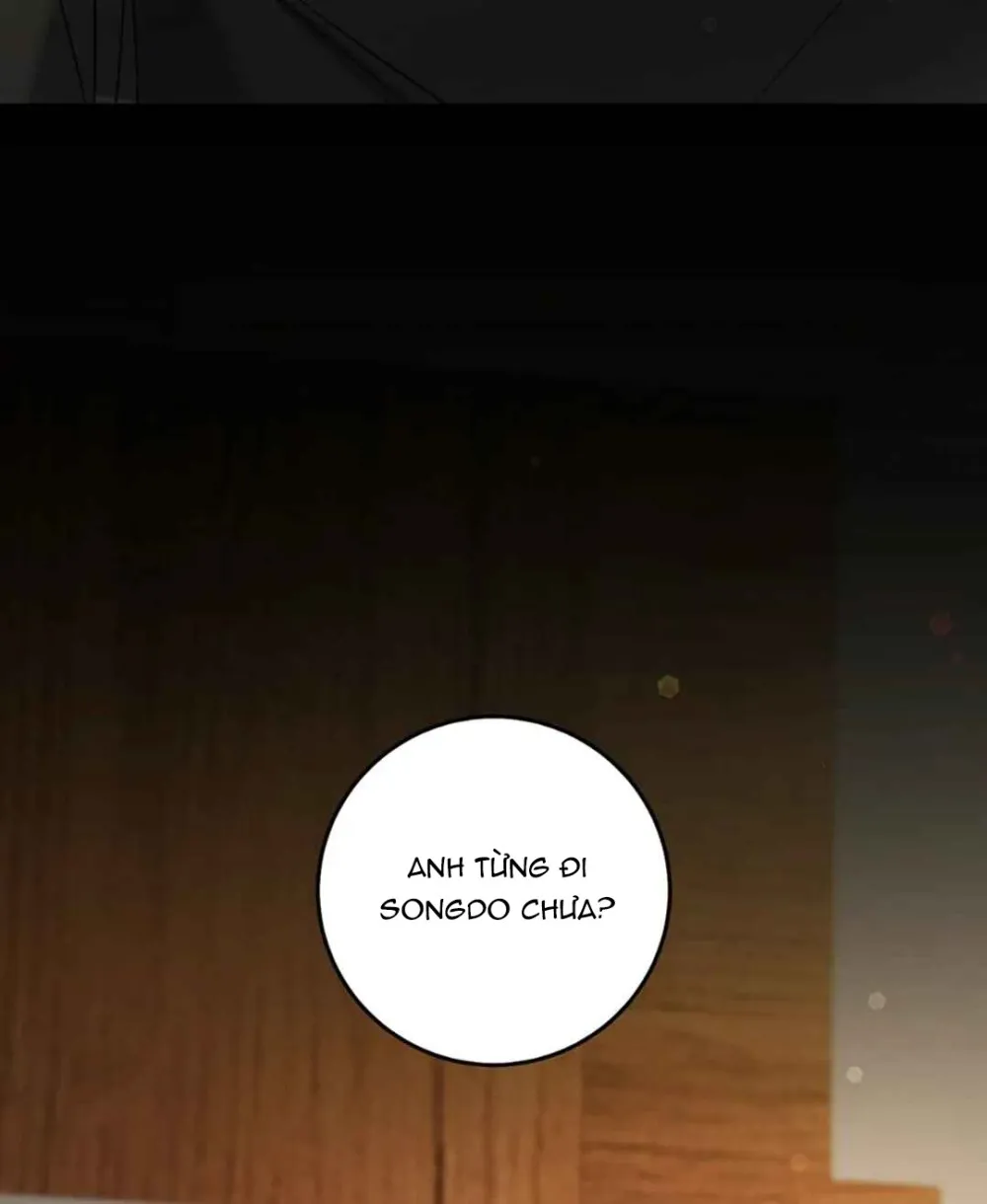 Thợ Săn Muốn Sống Yên Bình - Chap 29