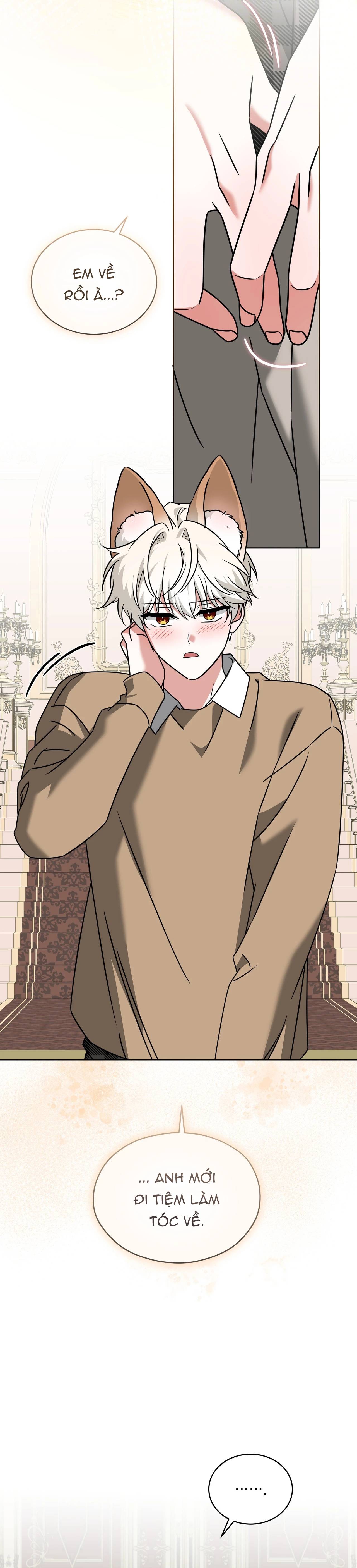 Thức Uống Tình Yêu Của Flynn Chap 83 - Next Chap 84