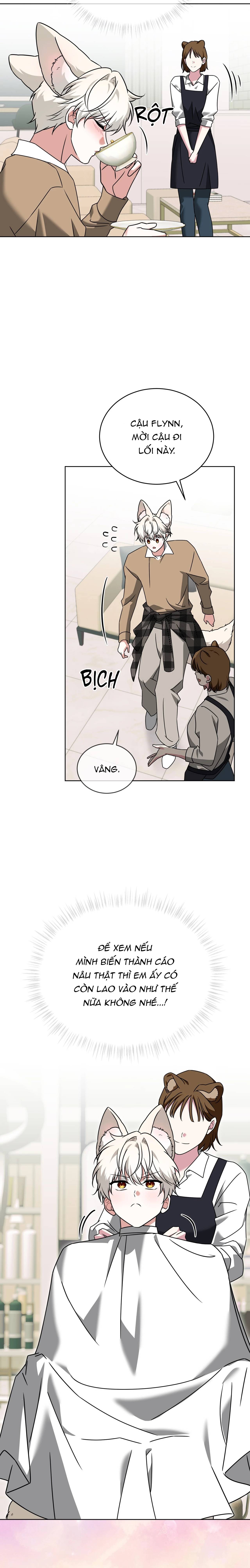Thức Uống Tình Yêu Của Flynn Chap 83 - Next Chap 84