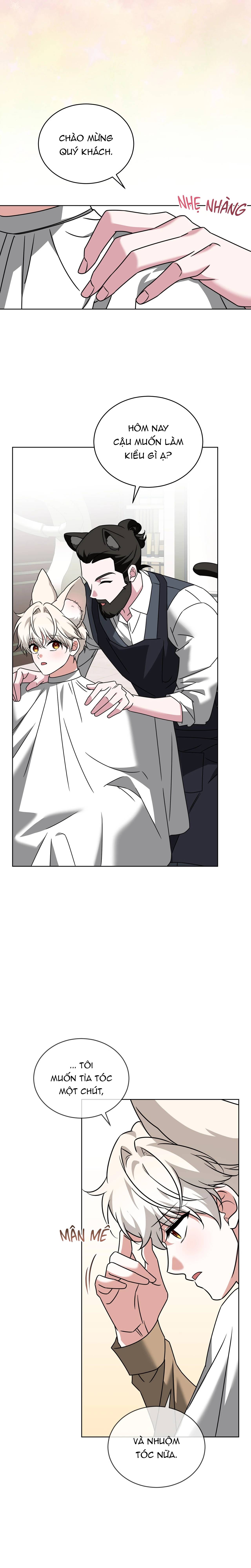 Thức Uống Tình Yêu Của Flynn Chap 83 - Next Chap 84