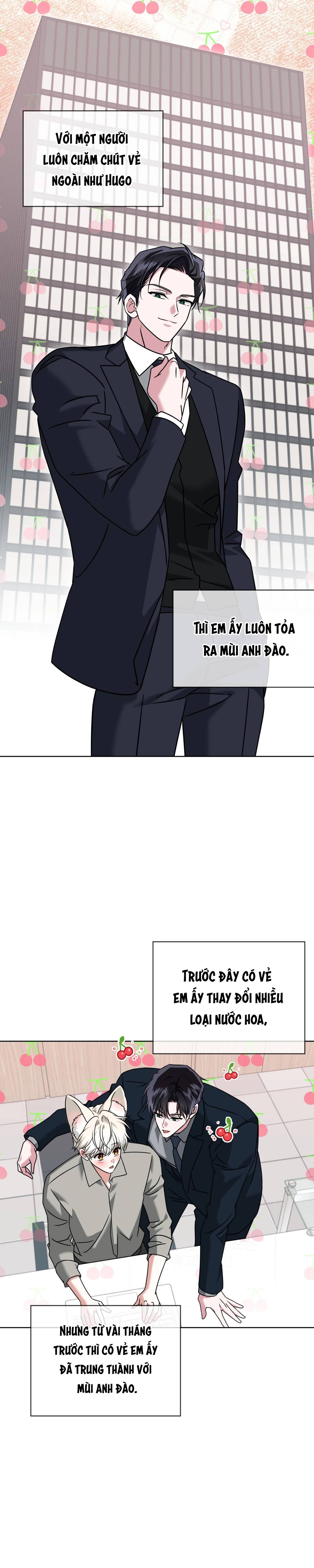 Thức Uống Tình Yêu Của Flynn Chap 84 - Next Chap 85