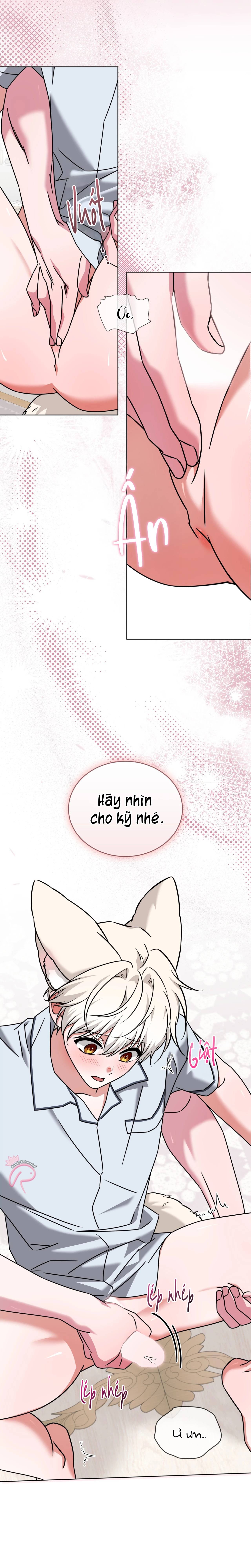 Thức Uống Tình Yêu Của Flynn Chap 84 - Next Chap 85