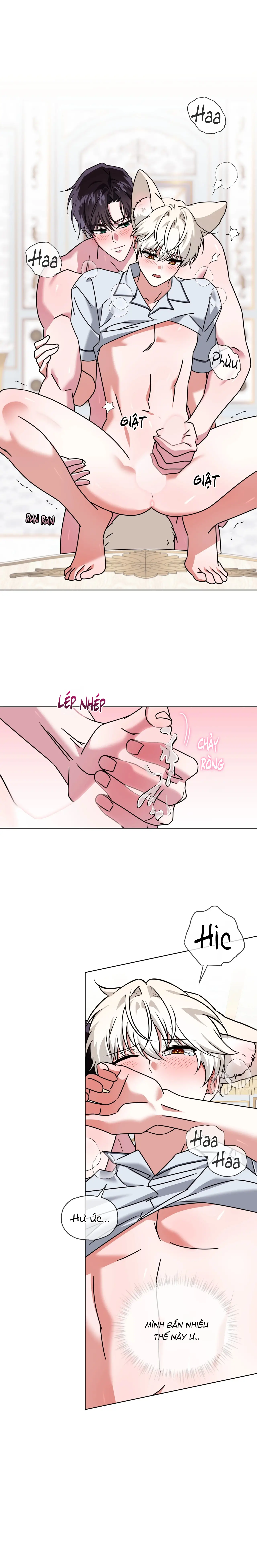Thức Uống Tình Yêu Của Flynn Chap 85 - Next Chap 86