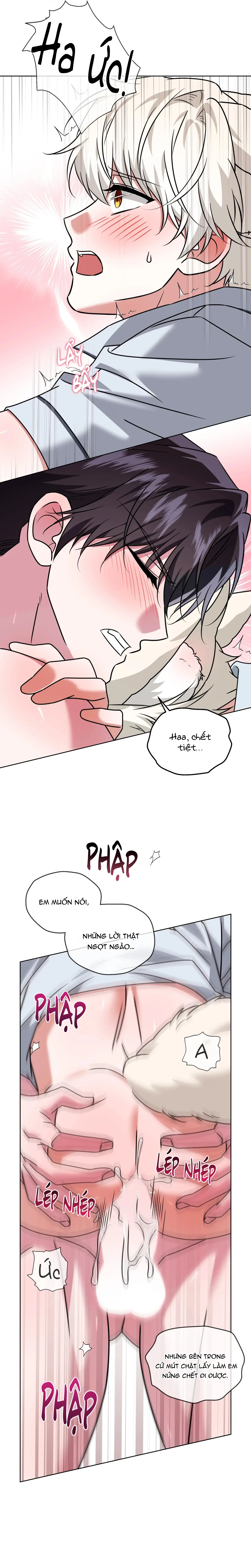 Thức Uống Tình Yêu Của Flynn Chap 85 - Next Chap 86