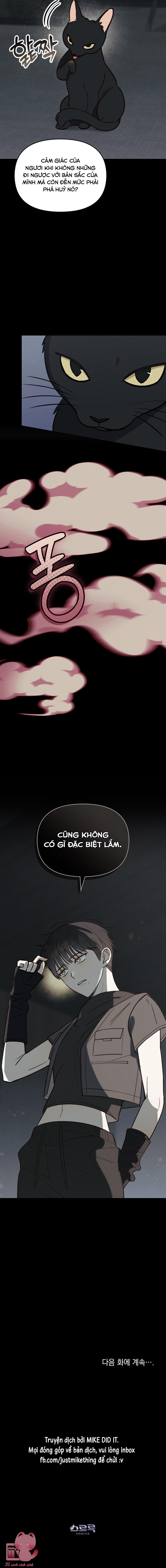 Tổng giám đốc, đồ khốn nạn! - Chap 9