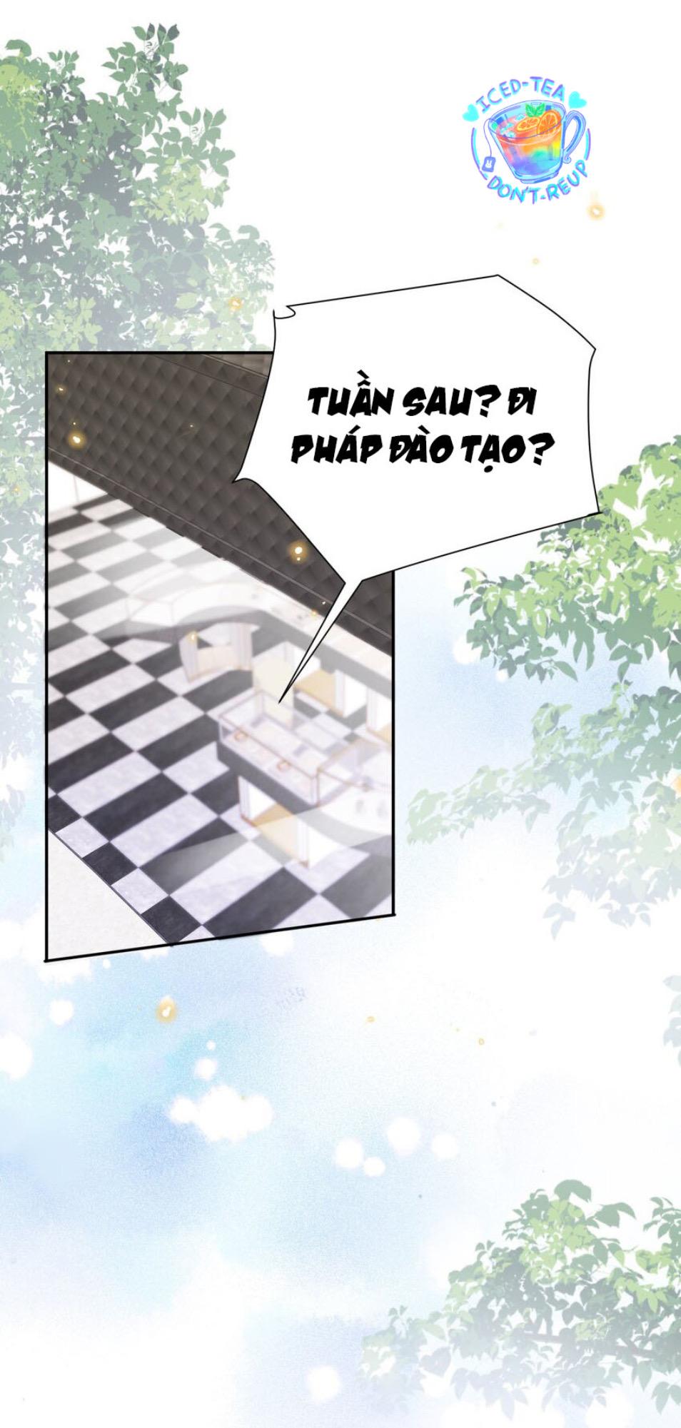 Tổng tài định chế tư nhân - Chap 15