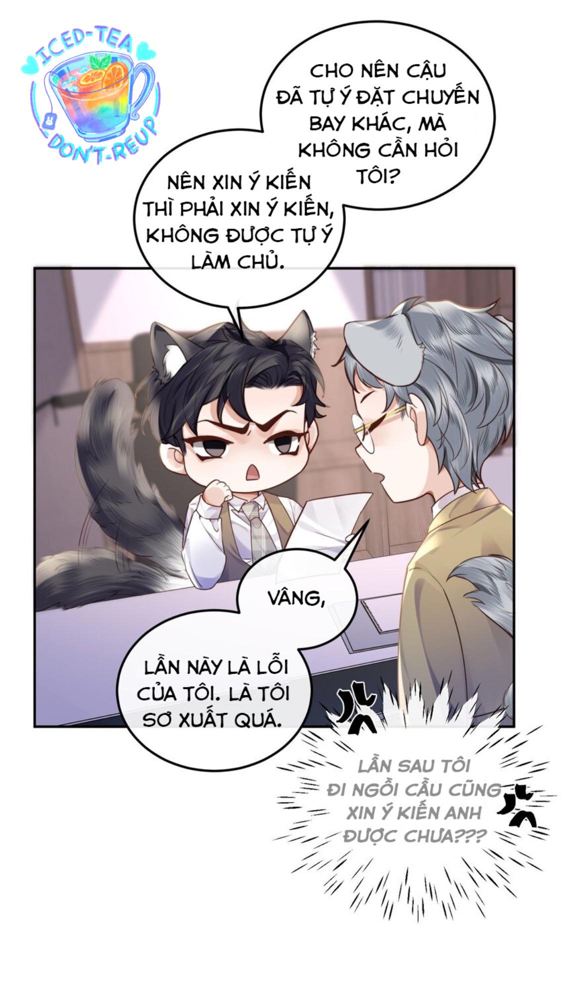 Tổng tài định chế tư nhân - Chap 15