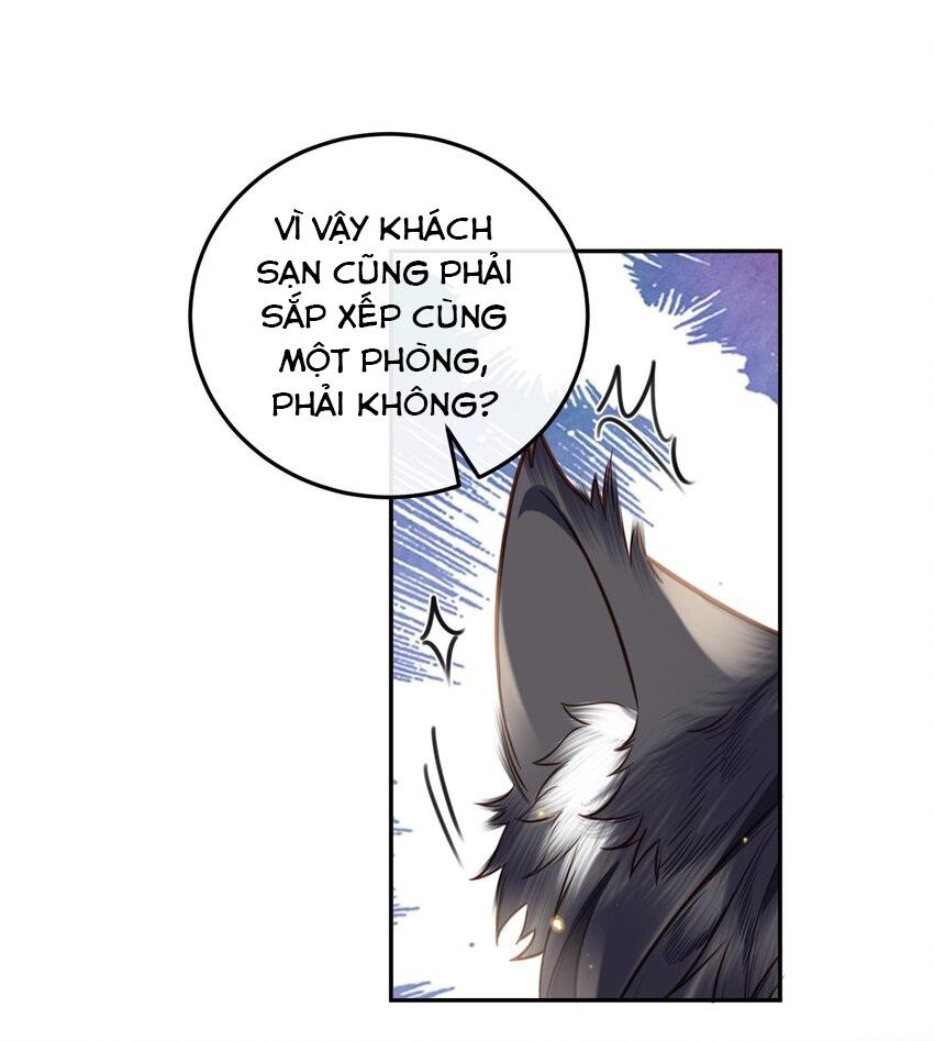 Tổng tài định chế tư nhân - Chap 15