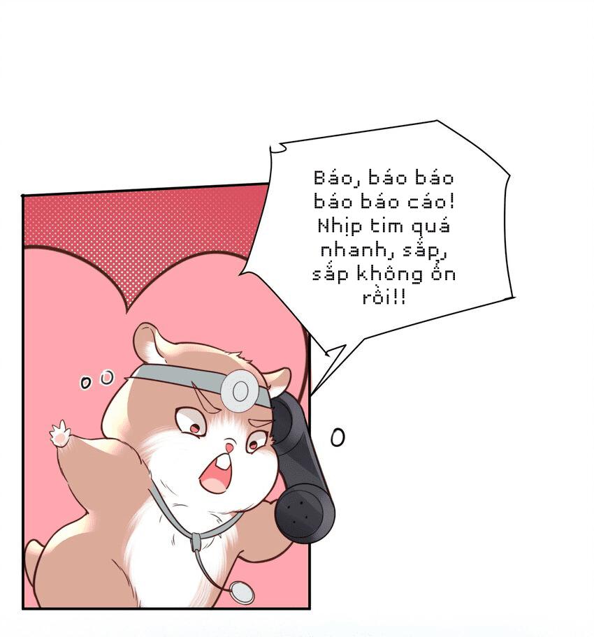 Tổng tài định chế tư nhân - Chap 21