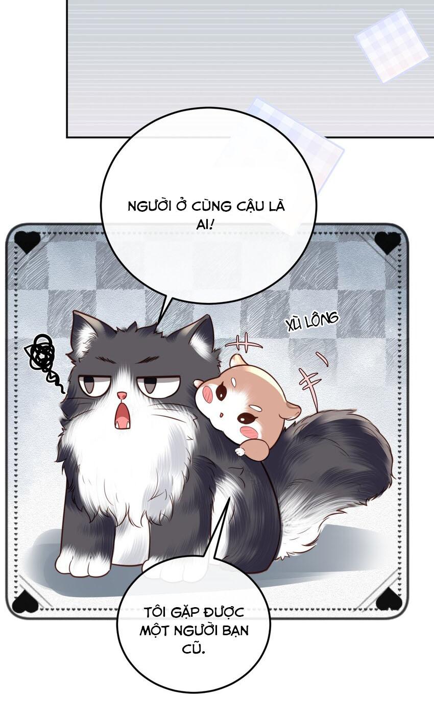 Tổng tài định chế tư nhân - Chap 23