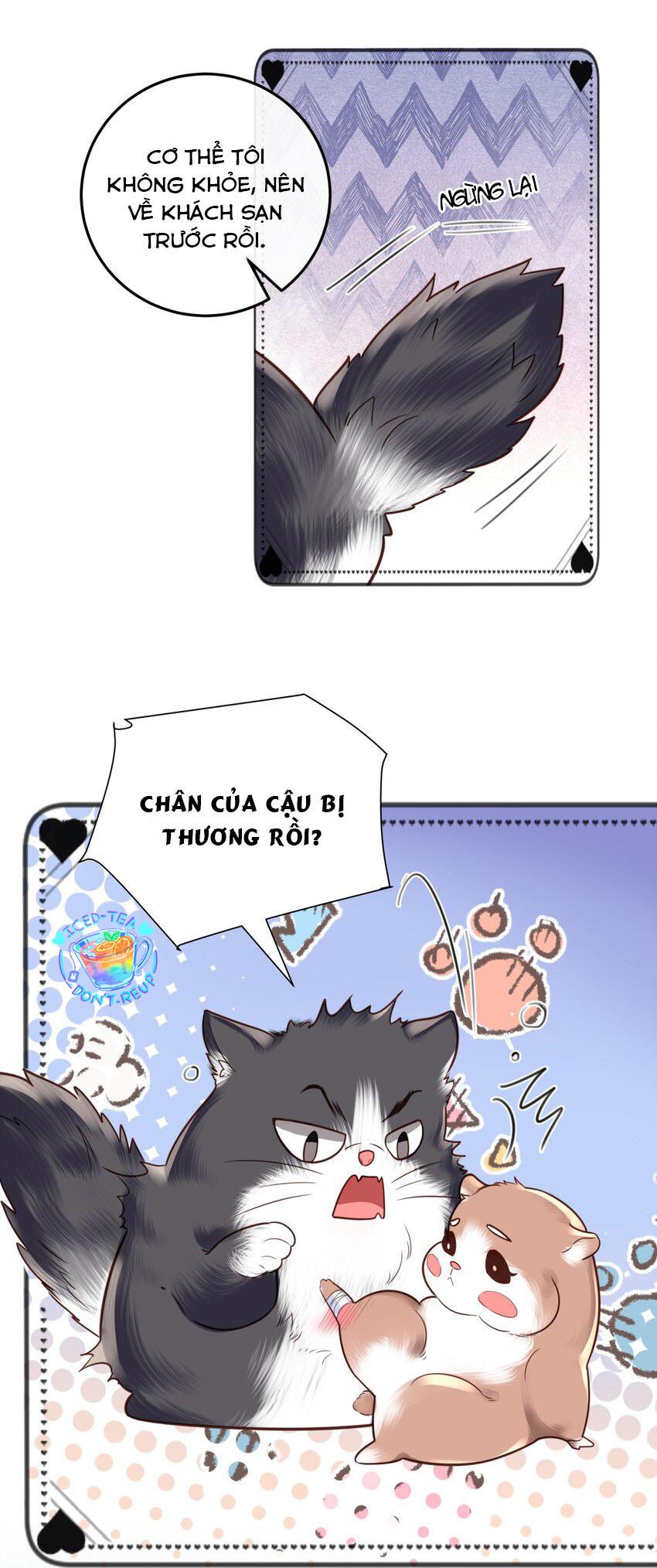 Tổng tài định chế tư nhân - Chap 23