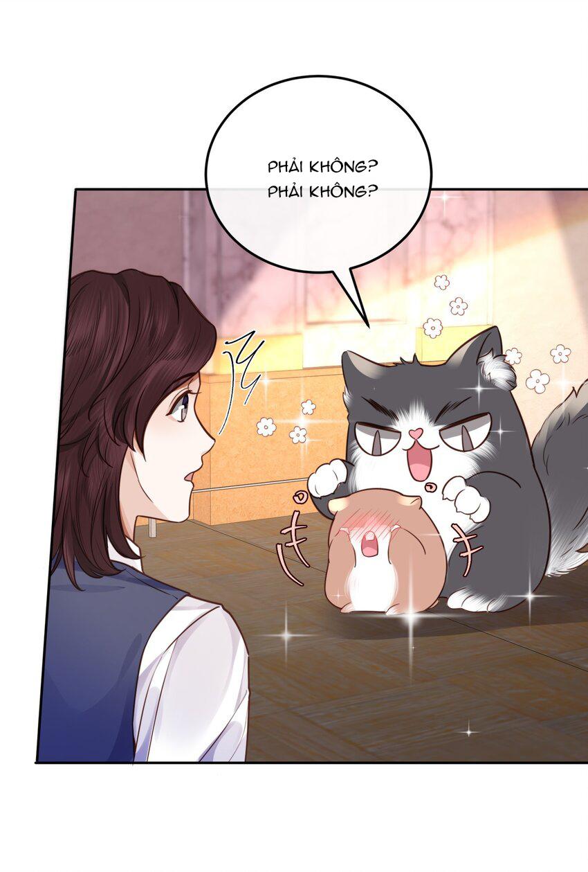 Tổng tài định chế tư nhân - Chap 24