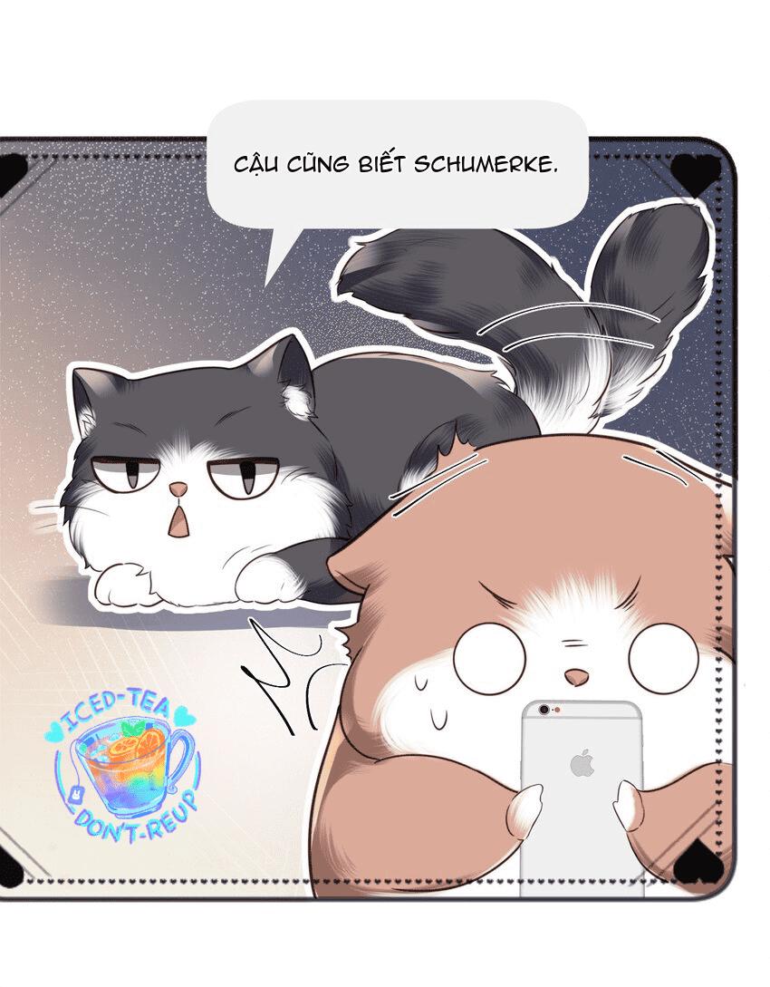 Tổng tài định chế tư nhân - Chap 27