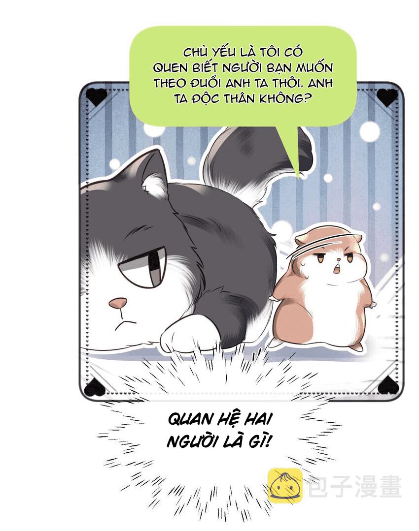 Tổng tài định chế tư nhân - Chap 27