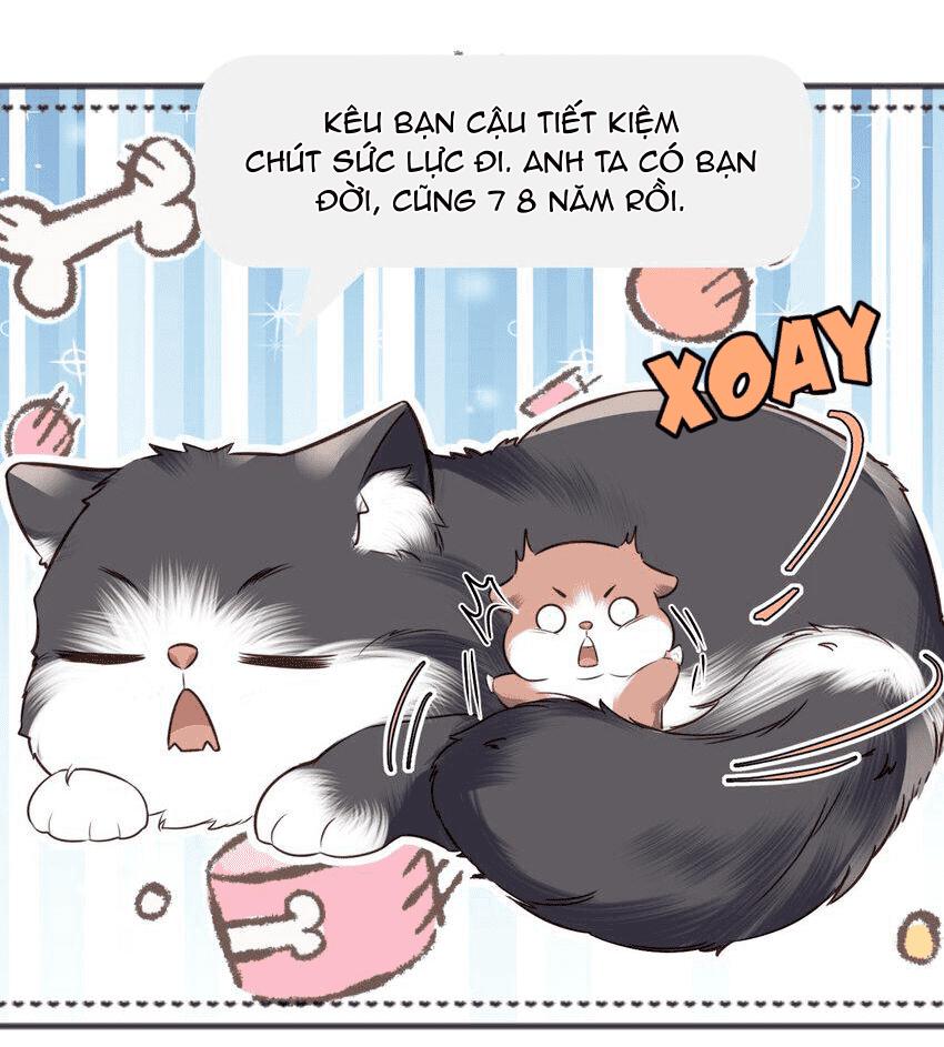 Tổng tài định chế tư nhân - Chap 27