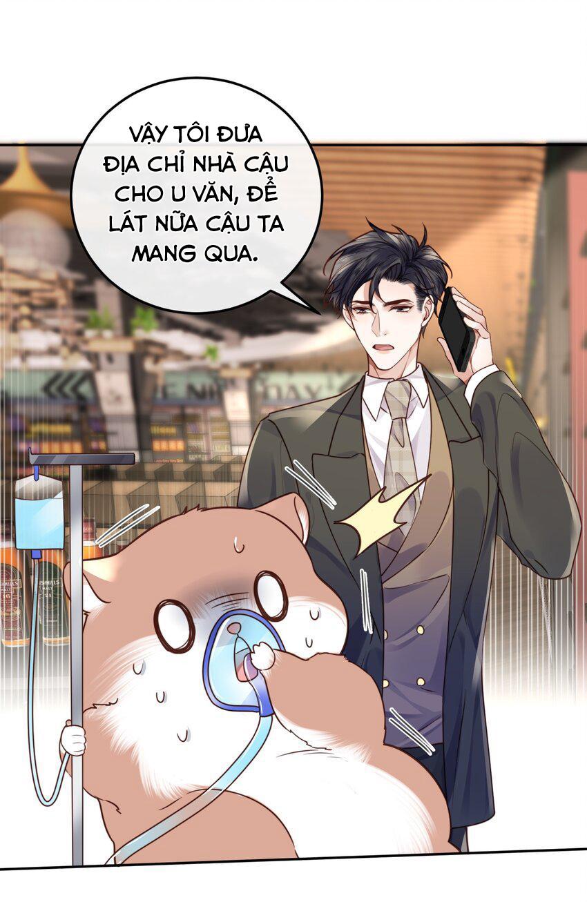 Tổng tài định chế tư nhân - Chap 37