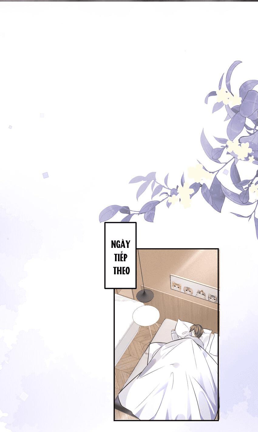 Tổng tài định chế tư nhân - Chap 4