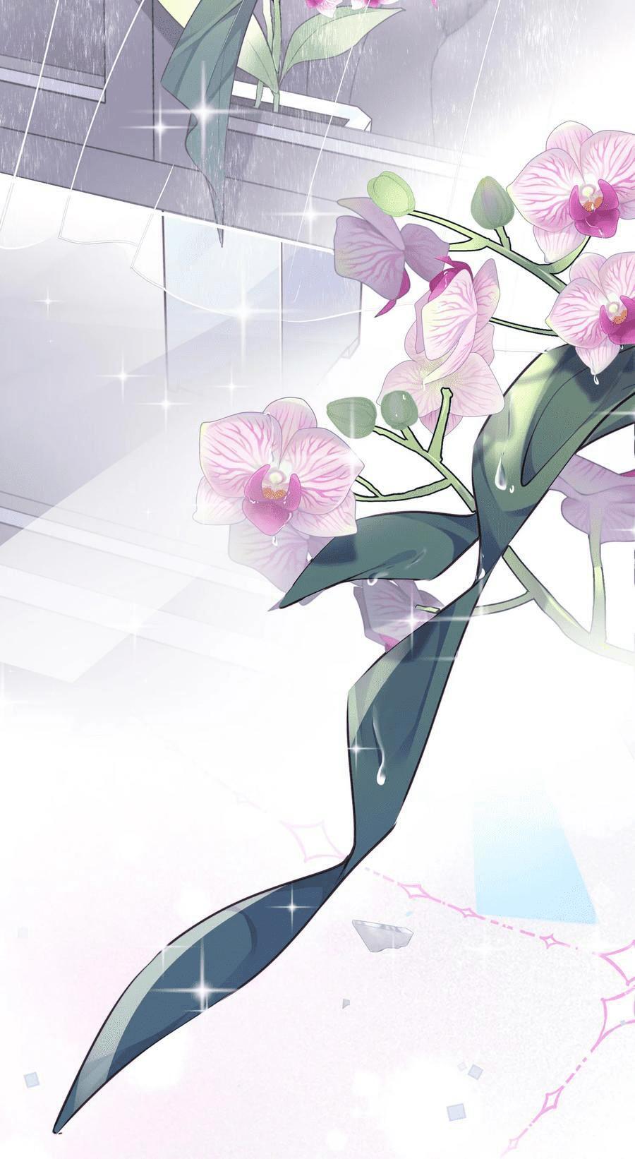 Tổng tài định chế tư nhân - Chap 43