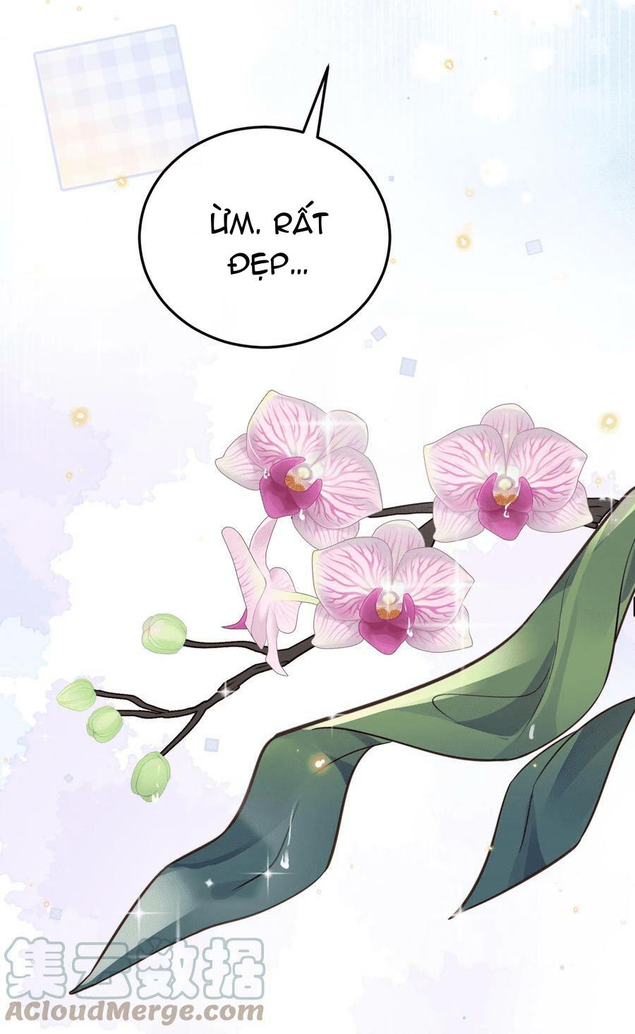Tổng tài định chế tư nhân - Chap 44