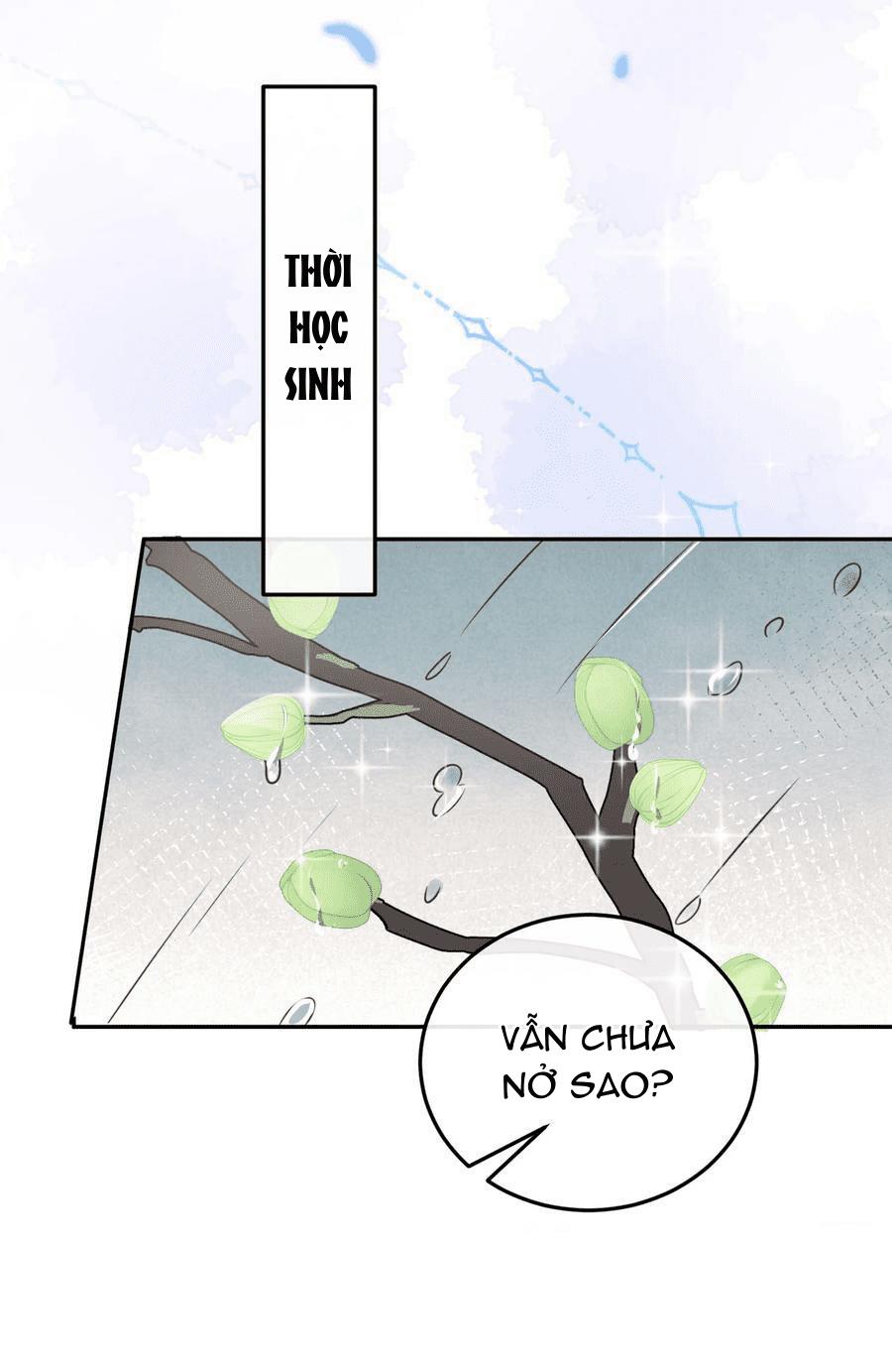 Tổng tài định chế tư nhân - Chap 44