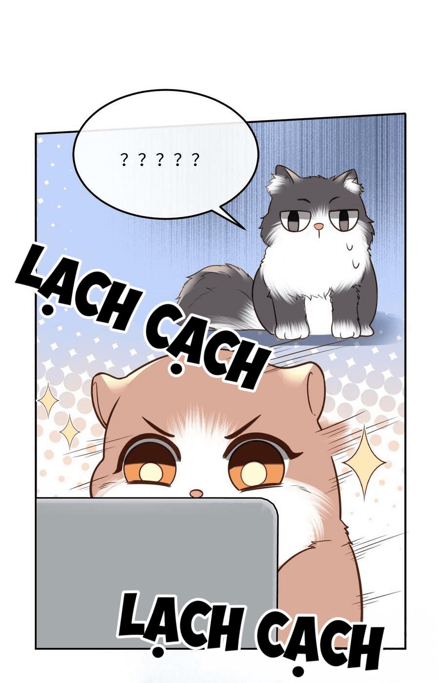 Tổng tài định chế tư nhân - Chap 44