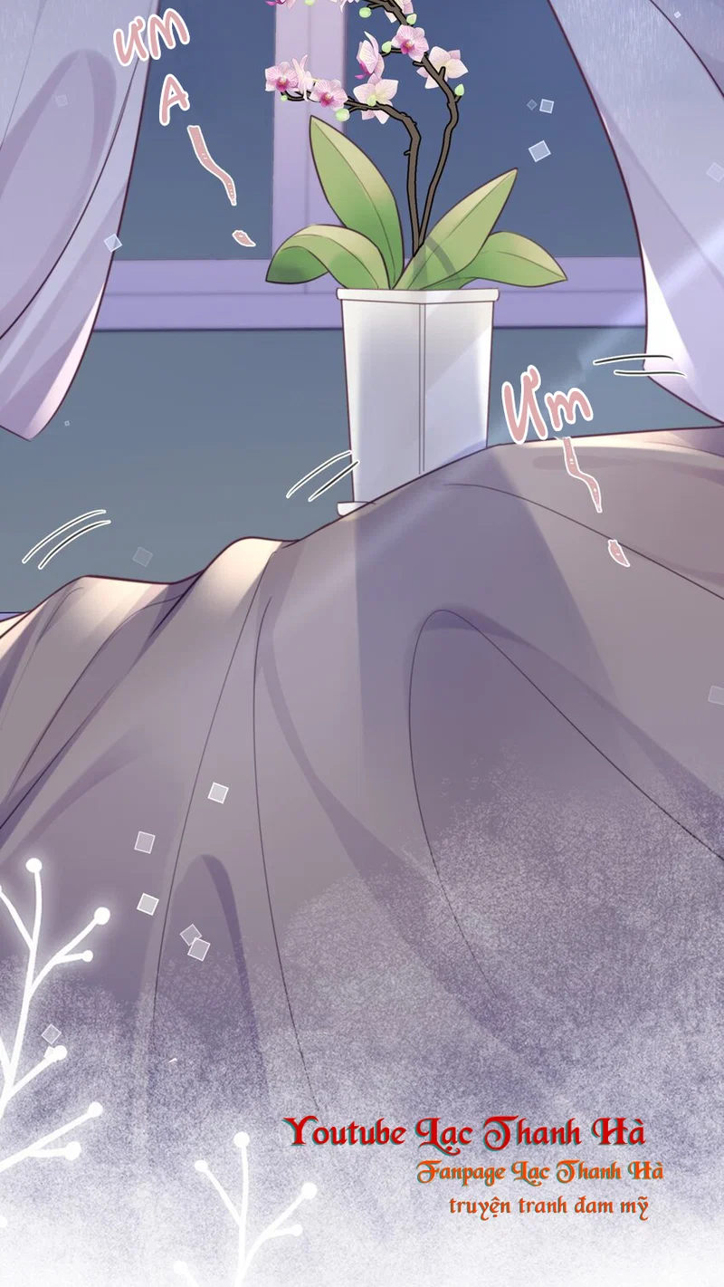 Tổng tài định chế tư nhân - Chap 49