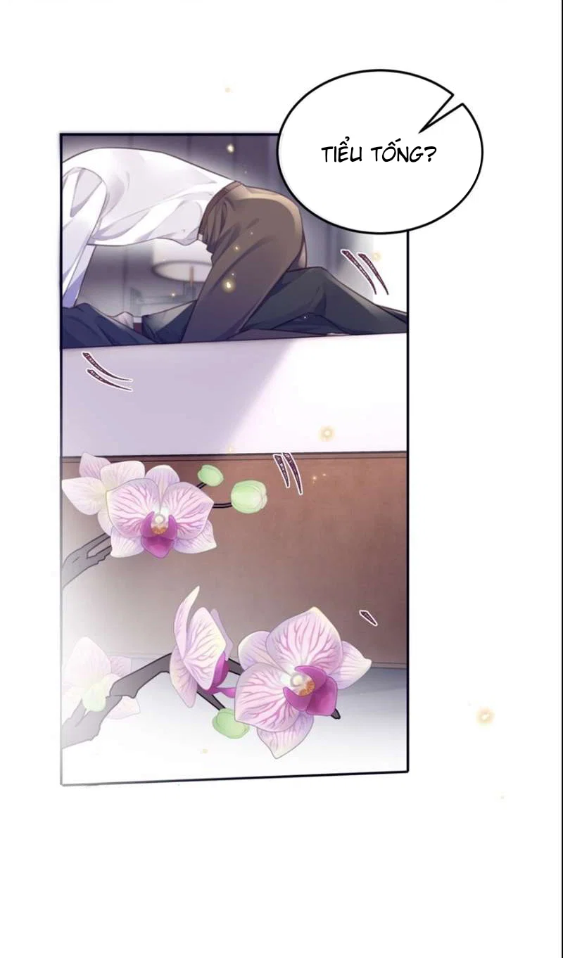 Tổng tài định chế tư nhân - Chap 52