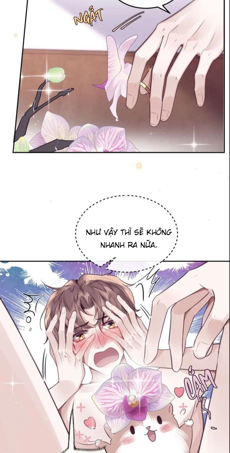 Tổng tài định chế tư nhân - Chap 52