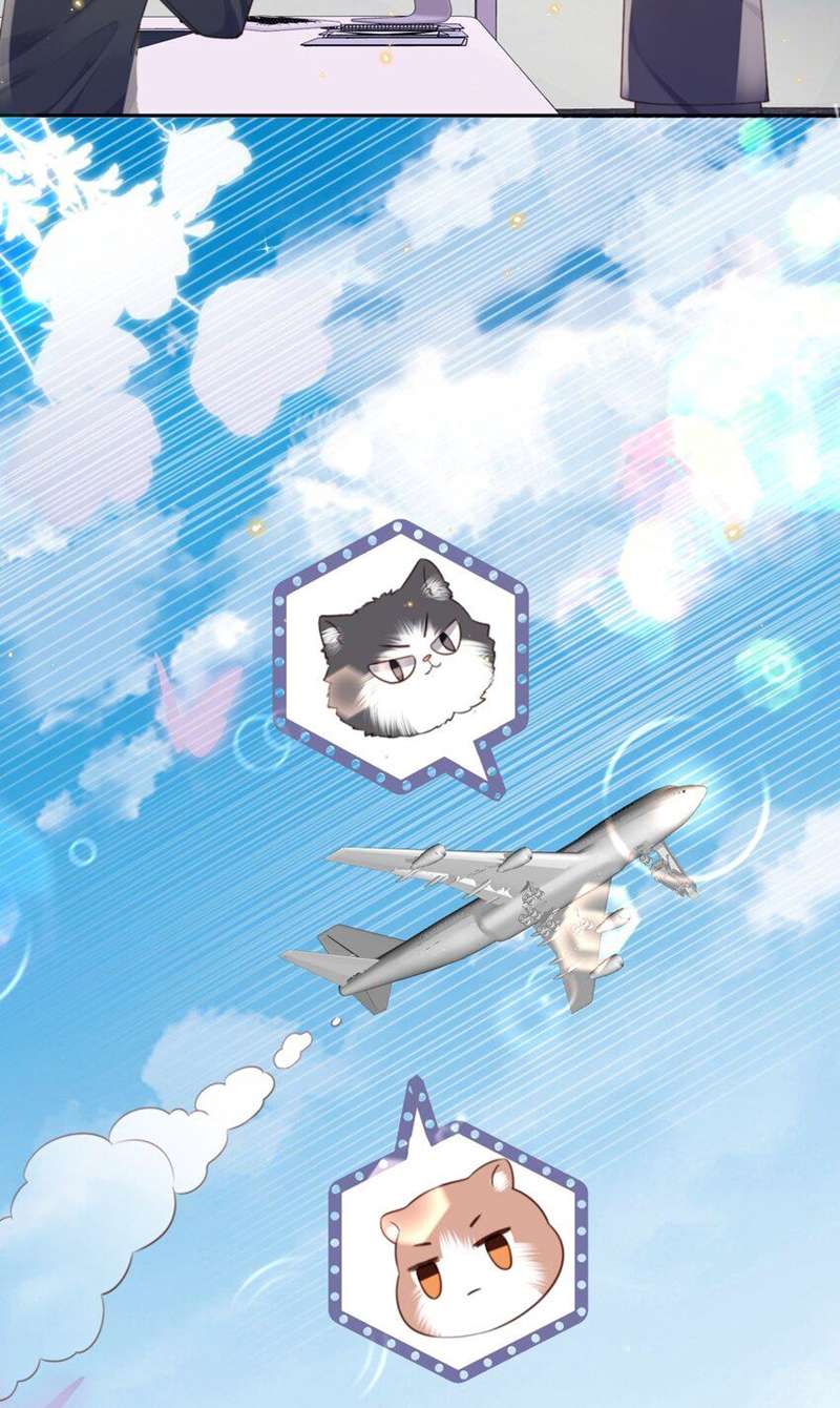 Tổng tài định chế tư nhân - Chap 58