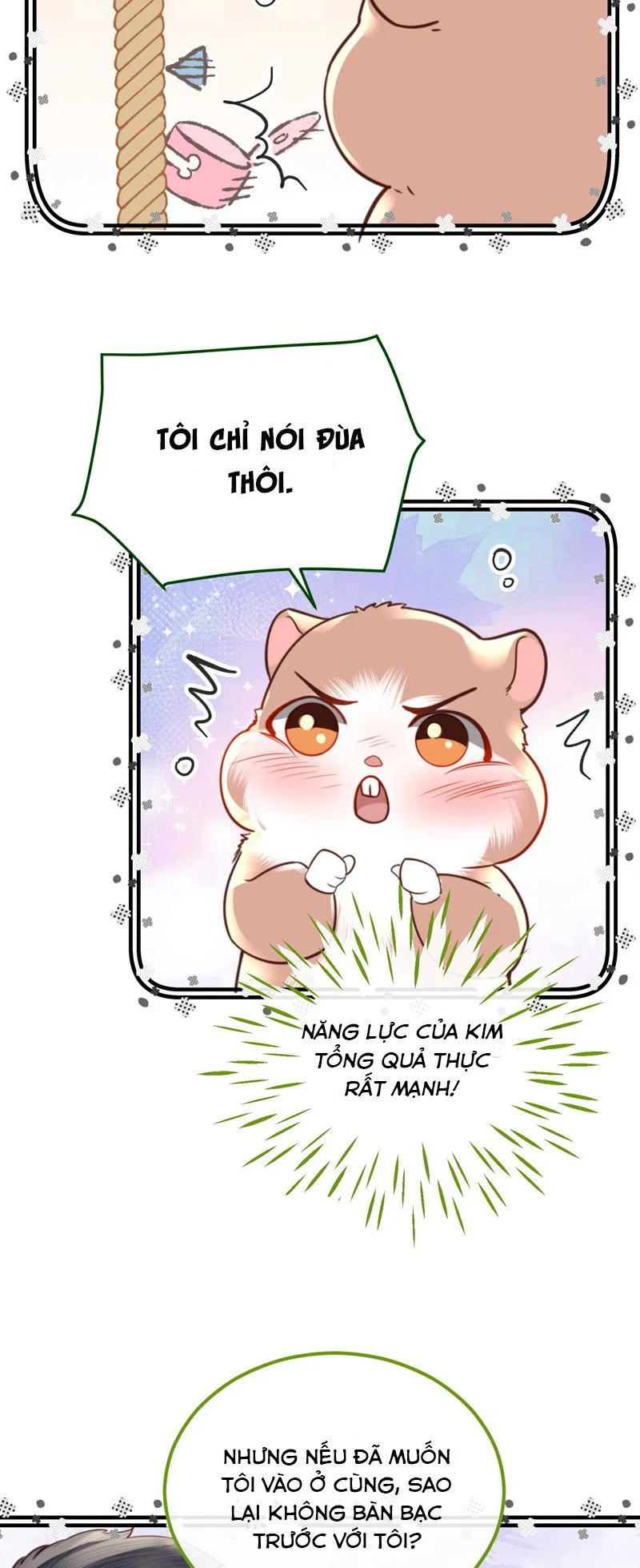 Tổng tài định chế tư nhân - Chap 80