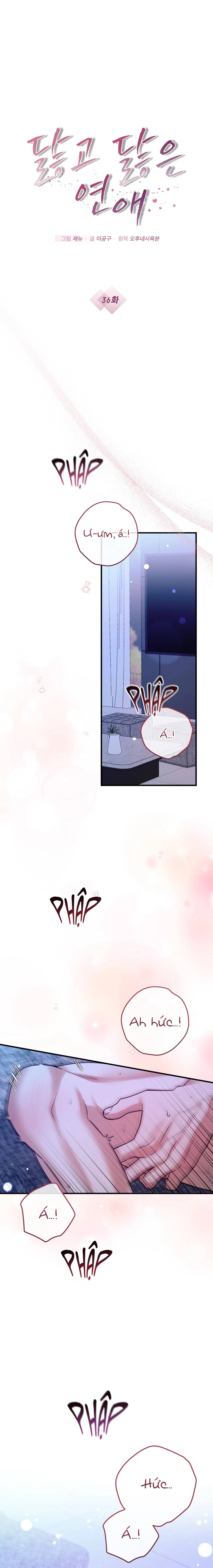Trái Tim Chai Sạn Chap 36 - Next Chap 37