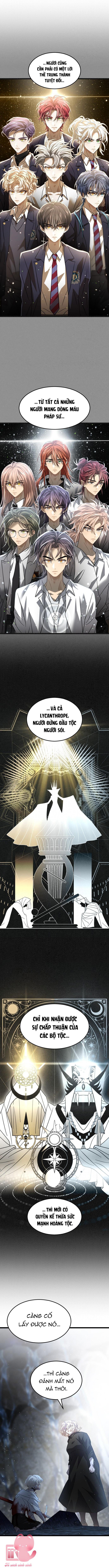 Trăng Tối: Tế Đàn Máu - Chap 68