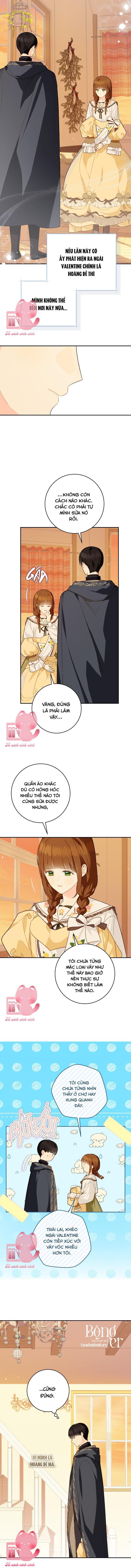 Trang Trại Hạt Dẻ Cạnh Hoàng Cung - Chap 49