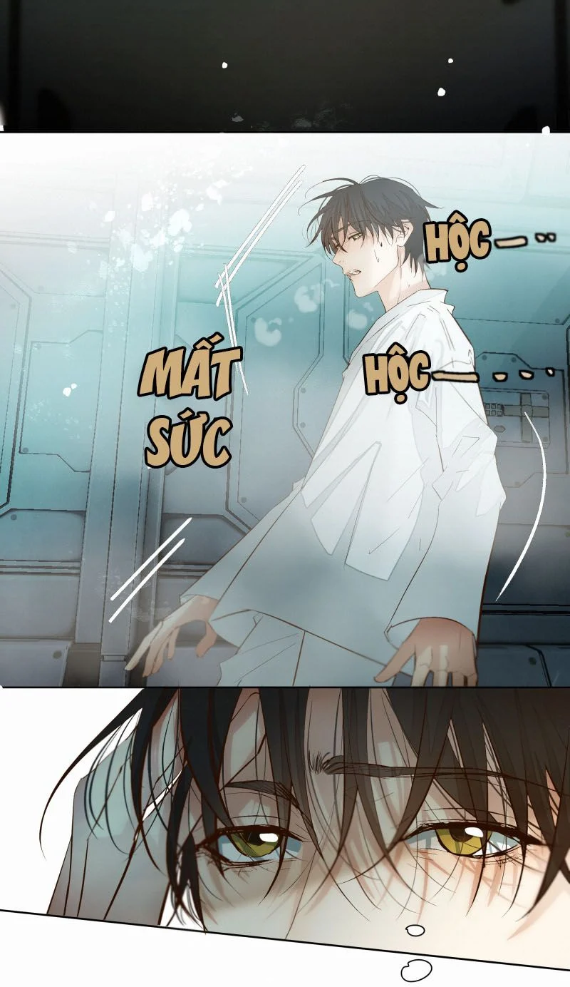 Tuyệt Xử Phùng Sinh - Chap 37