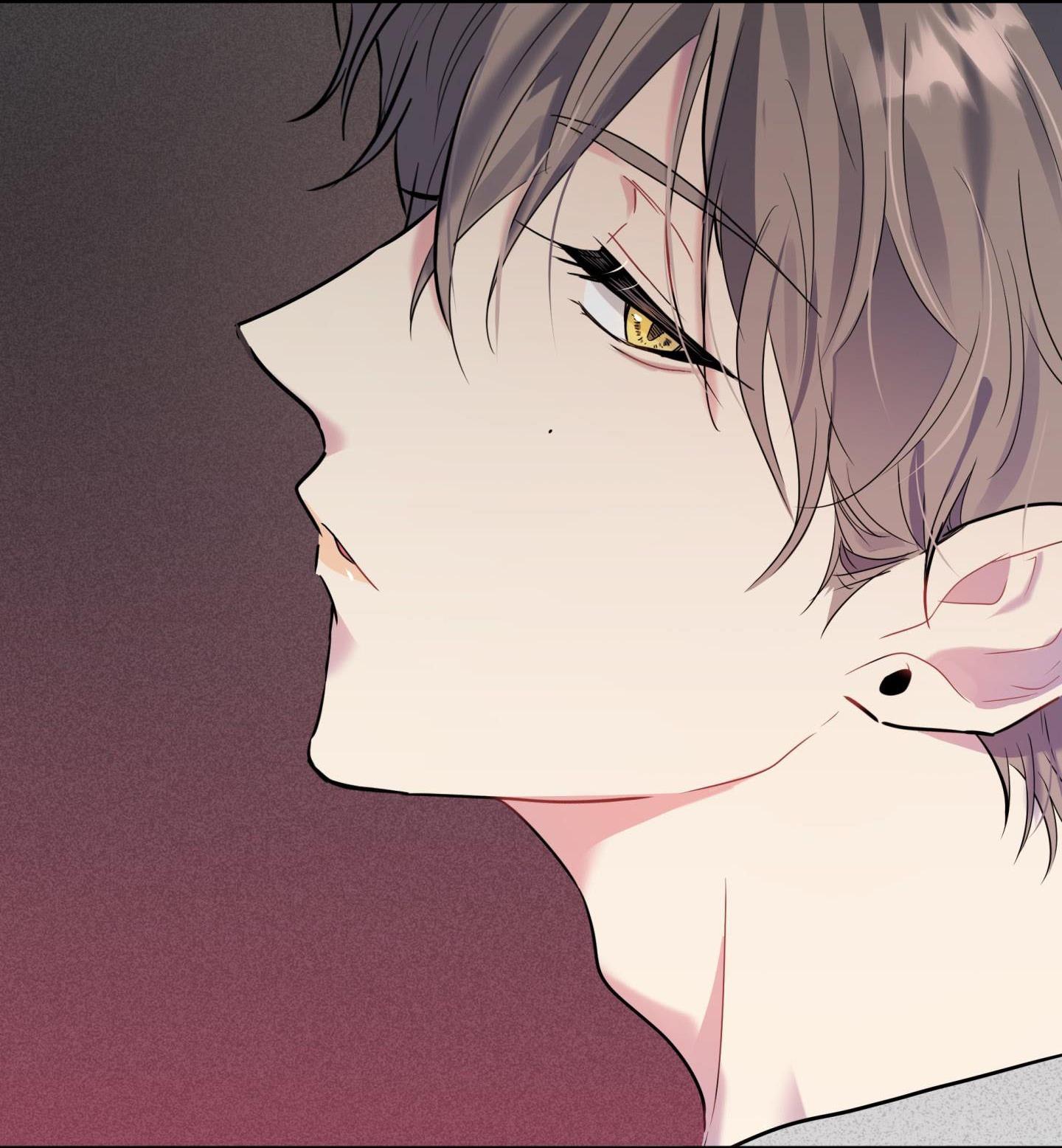 Vị Khách Từ Căn Nhà Phía Sau - Chap 2