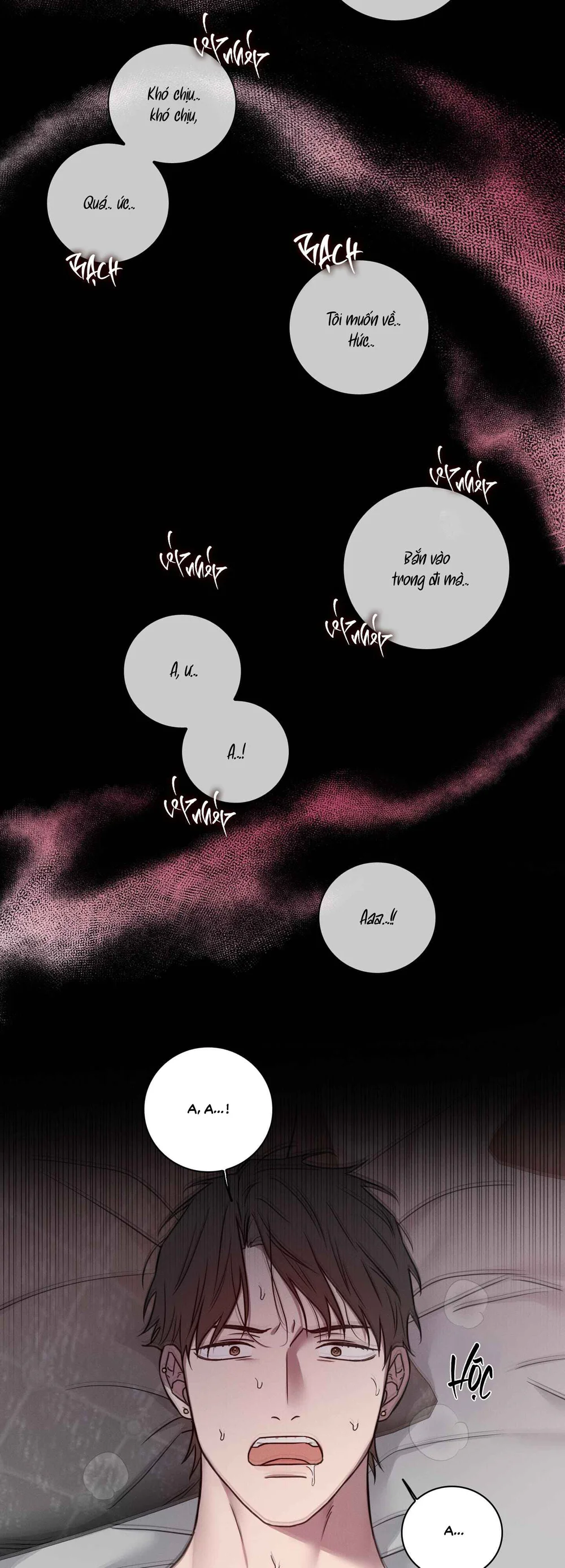 VỤ ÁN CON CU BIẾN MẤT - Chap 24