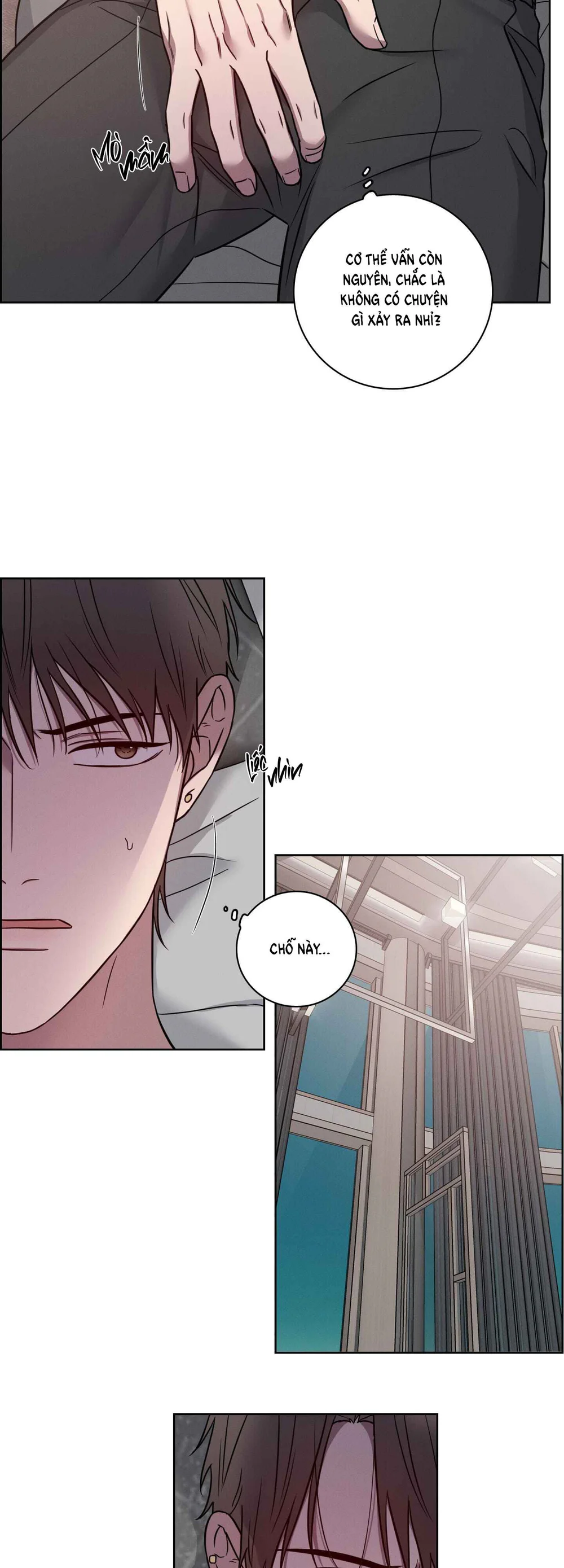 VỤ ÁN CON CU BIẾN MẤT - Chap 24