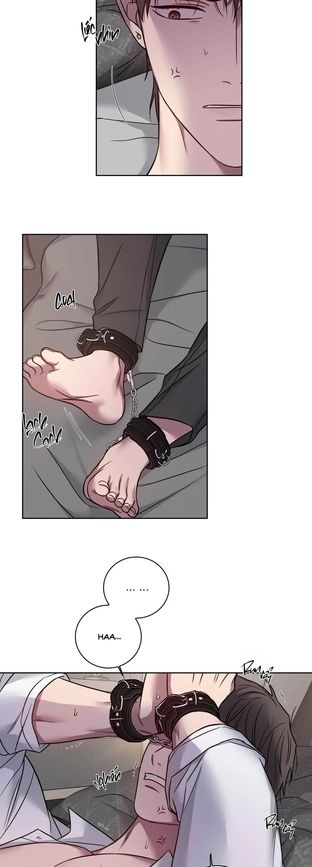 VỤ ÁN CON CU BIẾN MẤT - Chap 24