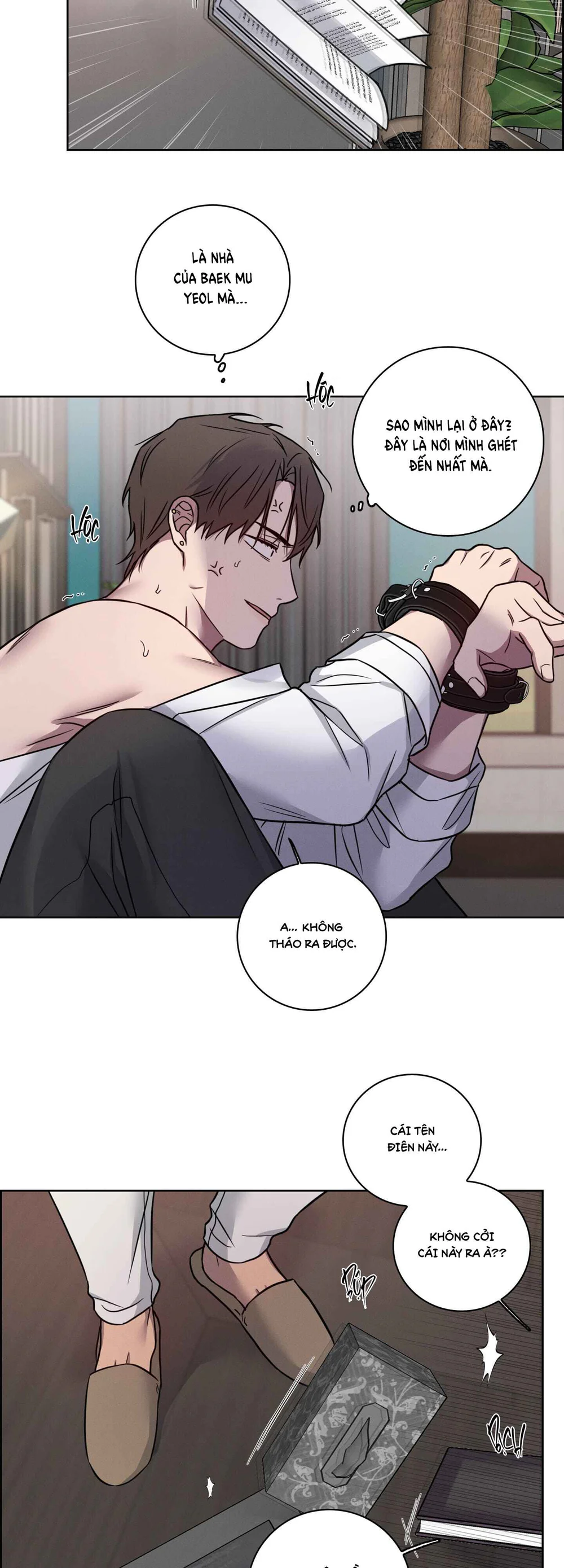 VỤ ÁN CON CU BIẾN MẤT - Chap 24