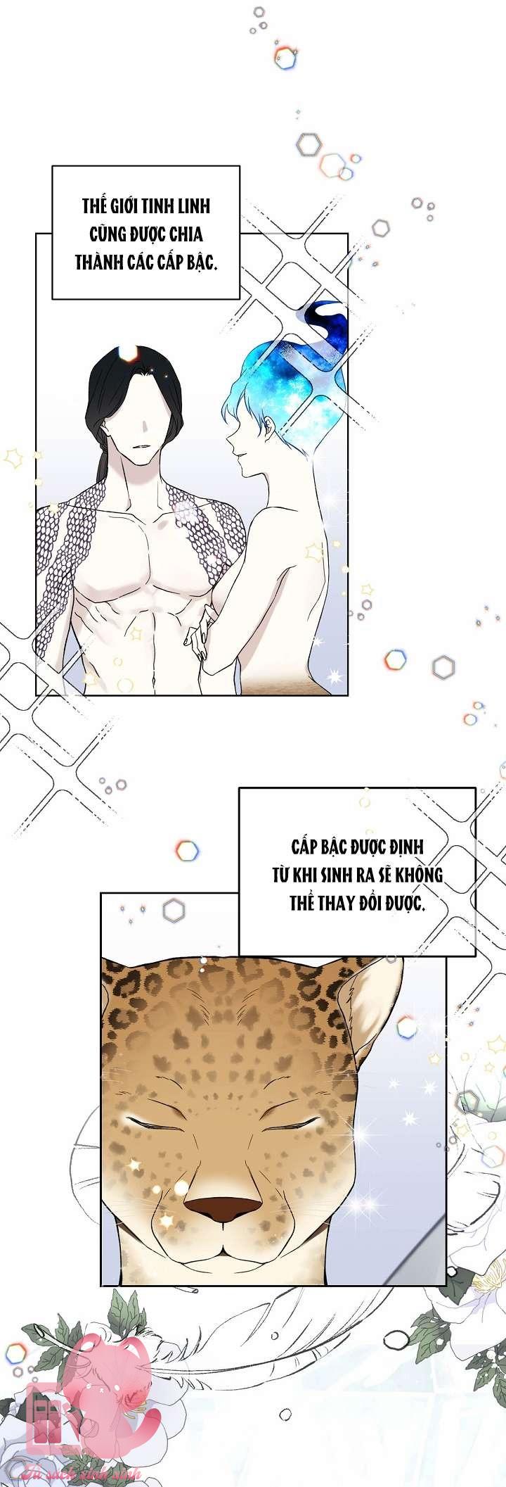 Vương Miện Lục Bảo - Chap 17
