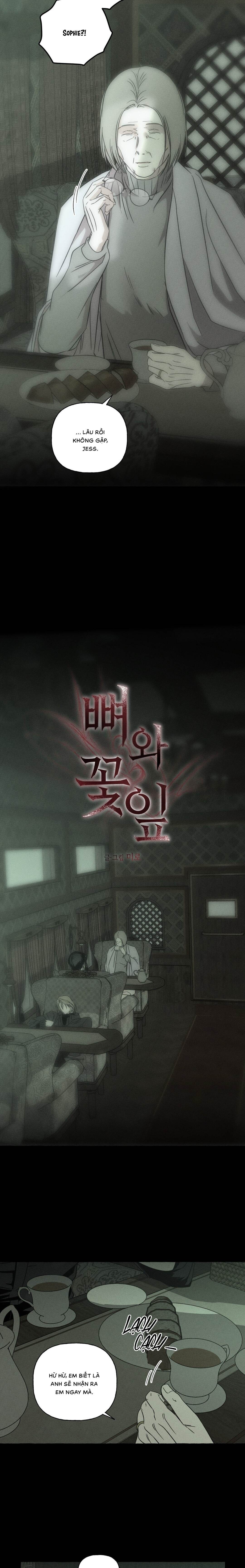 Xương Và Cánh Hoa - Chap 69