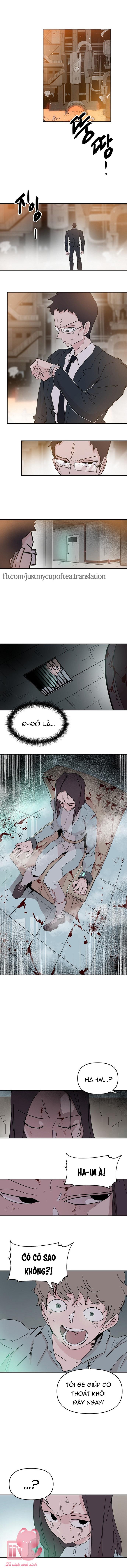 Yêu Không Hồi Kết - Chap 57