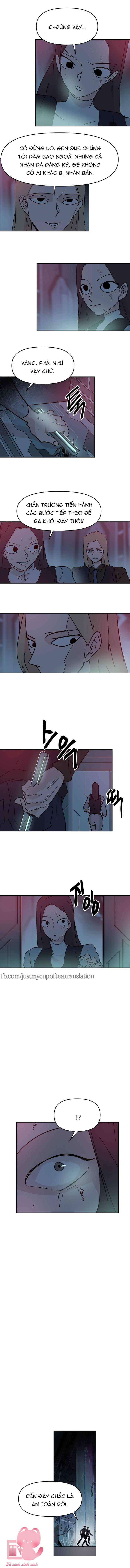 Yêu Không Hồi Kết - Chap 64