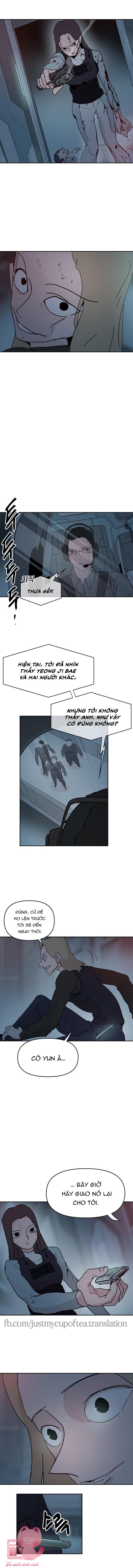 Yêu Không Hồi Kết - Chap 67